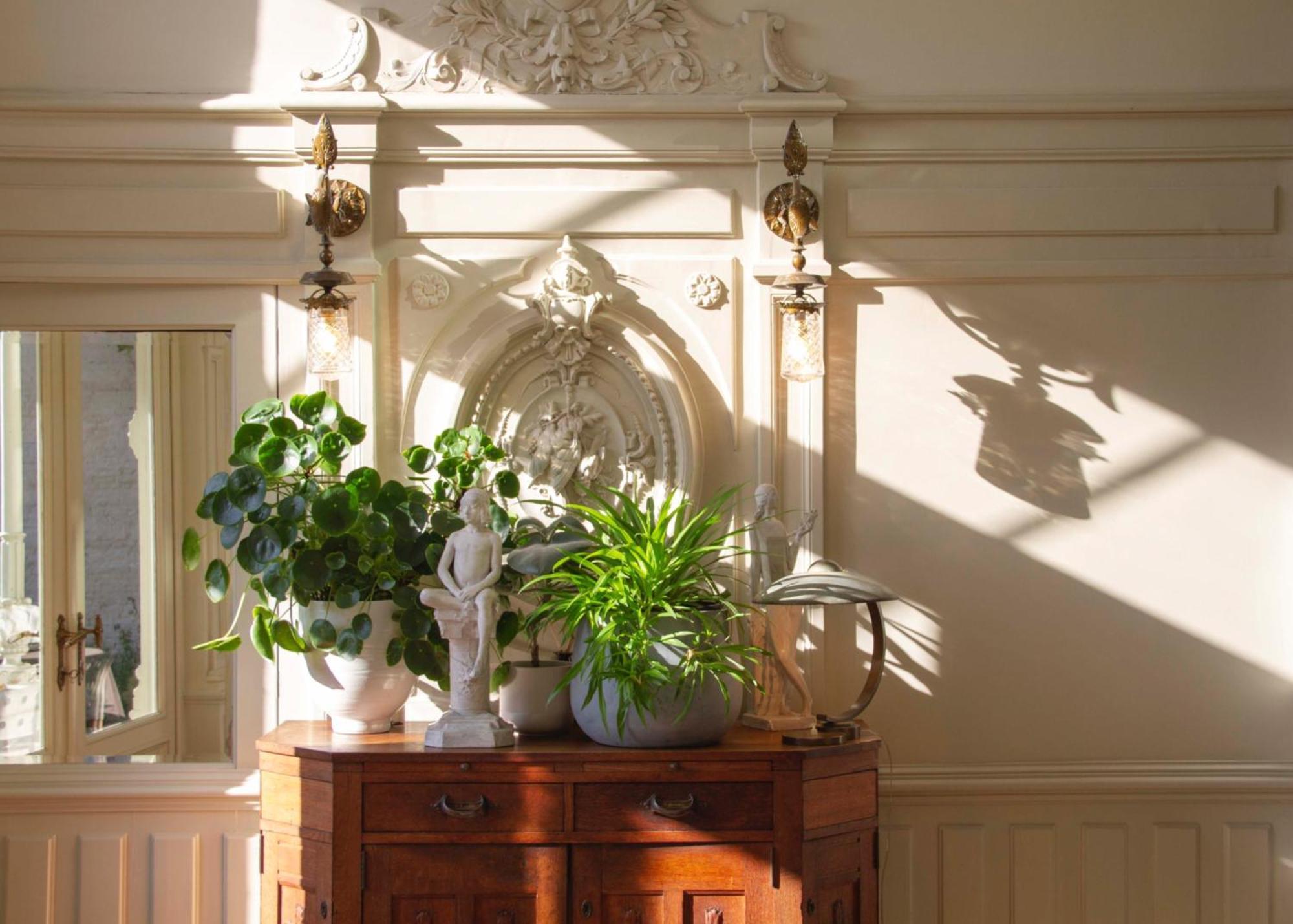 Huis Dujardin Bed&Breakfast Antwerpen Bagian luar foto