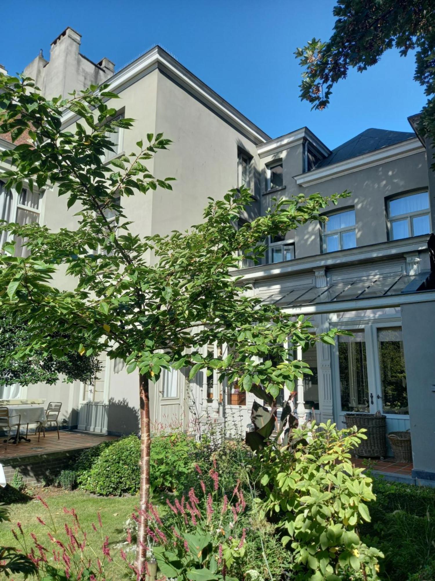 Huis Dujardin Bed&Breakfast Antwerpen Bagian luar foto