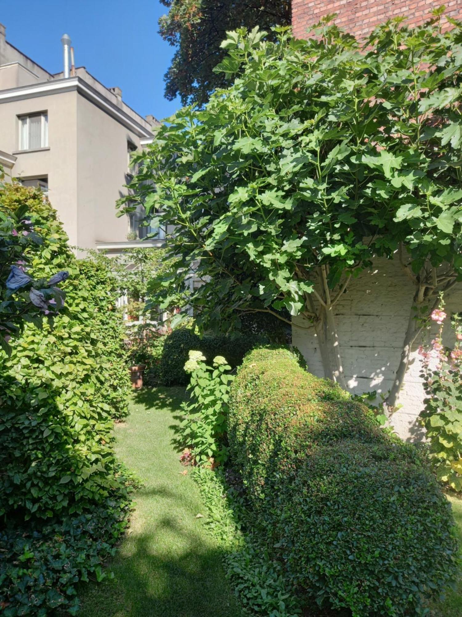 Huis Dujardin Bed&Breakfast Antwerpen Bagian luar foto