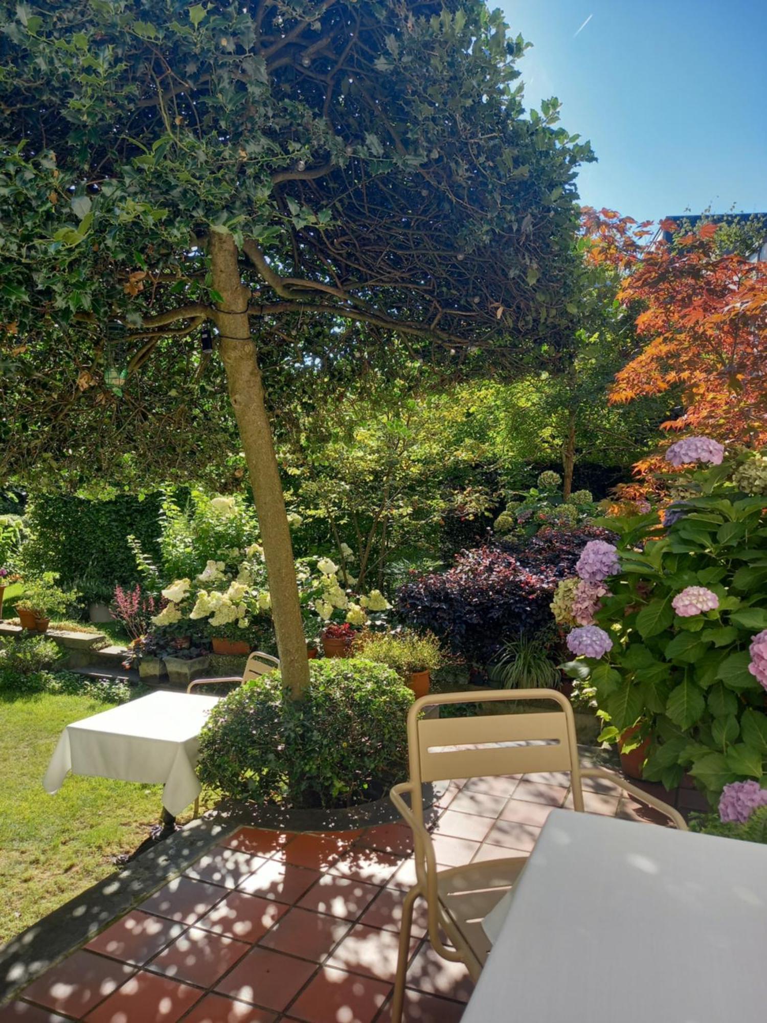 Huis Dujardin Bed&Breakfast Antwerpen Bagian luar foto