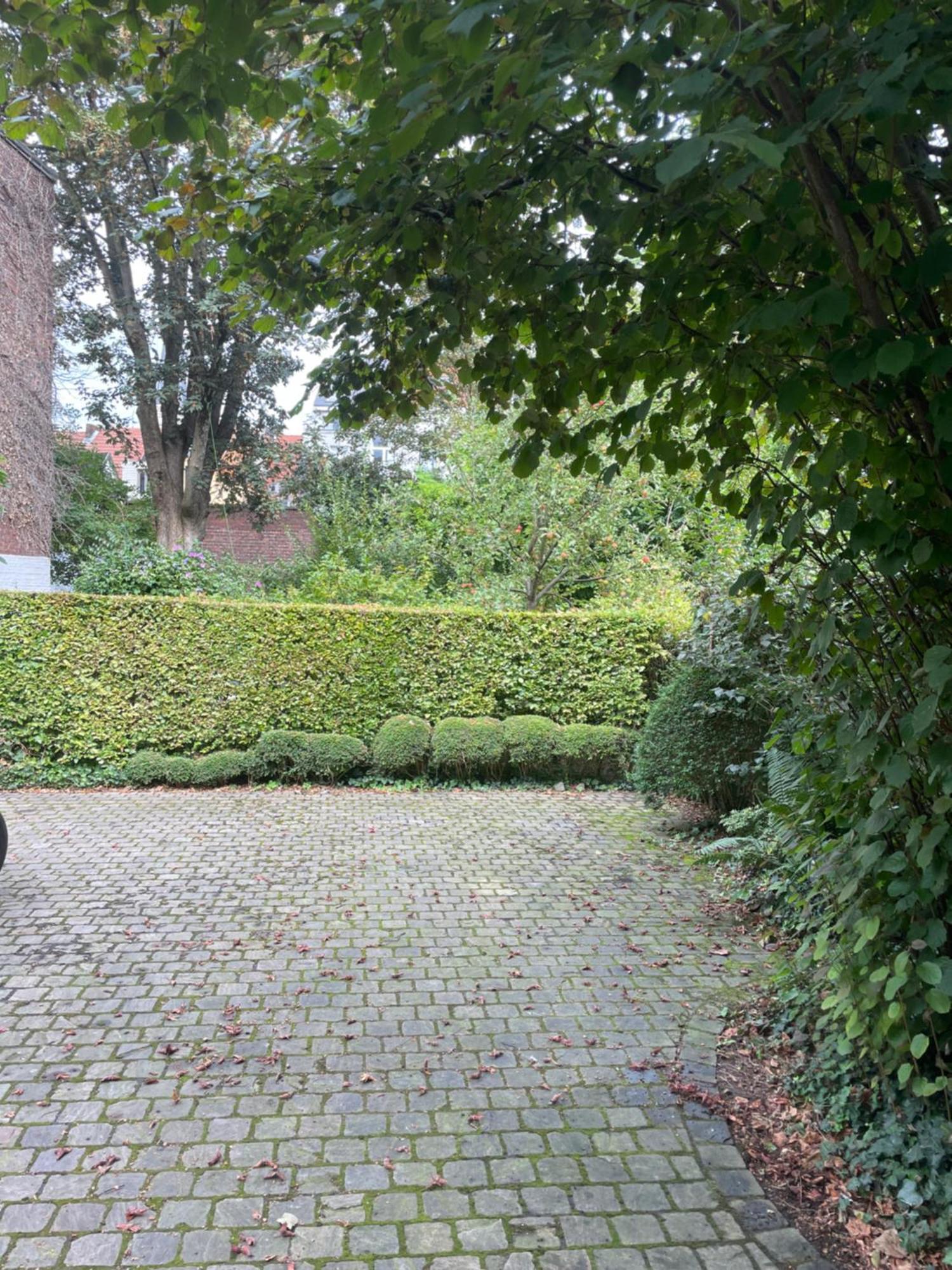 Huis Dujardin Bed&Breakfast Antwerpen Bagian luar foto