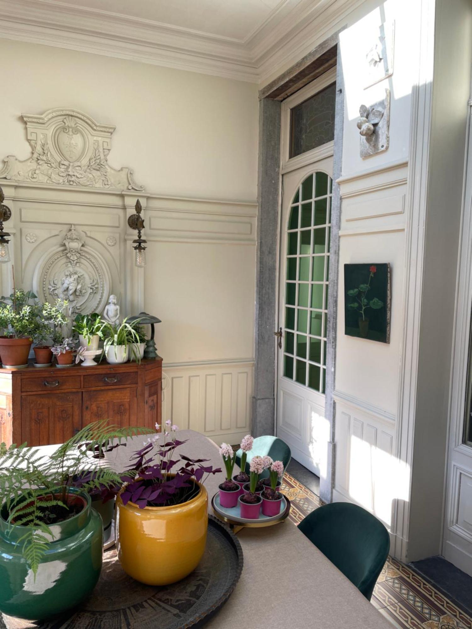 Huis Dujardin Bed&Breakfast Antwerpen Bagian luar foto