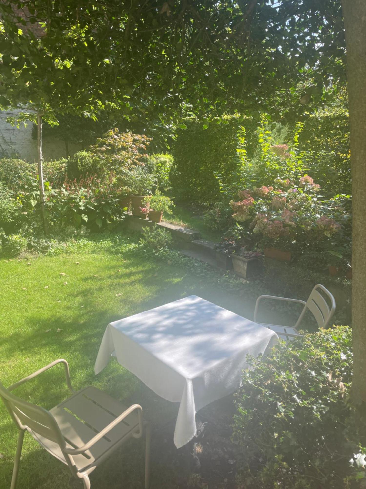 Huis Dujardin Bed&Breakfast Antwerpen Bagian luar foto